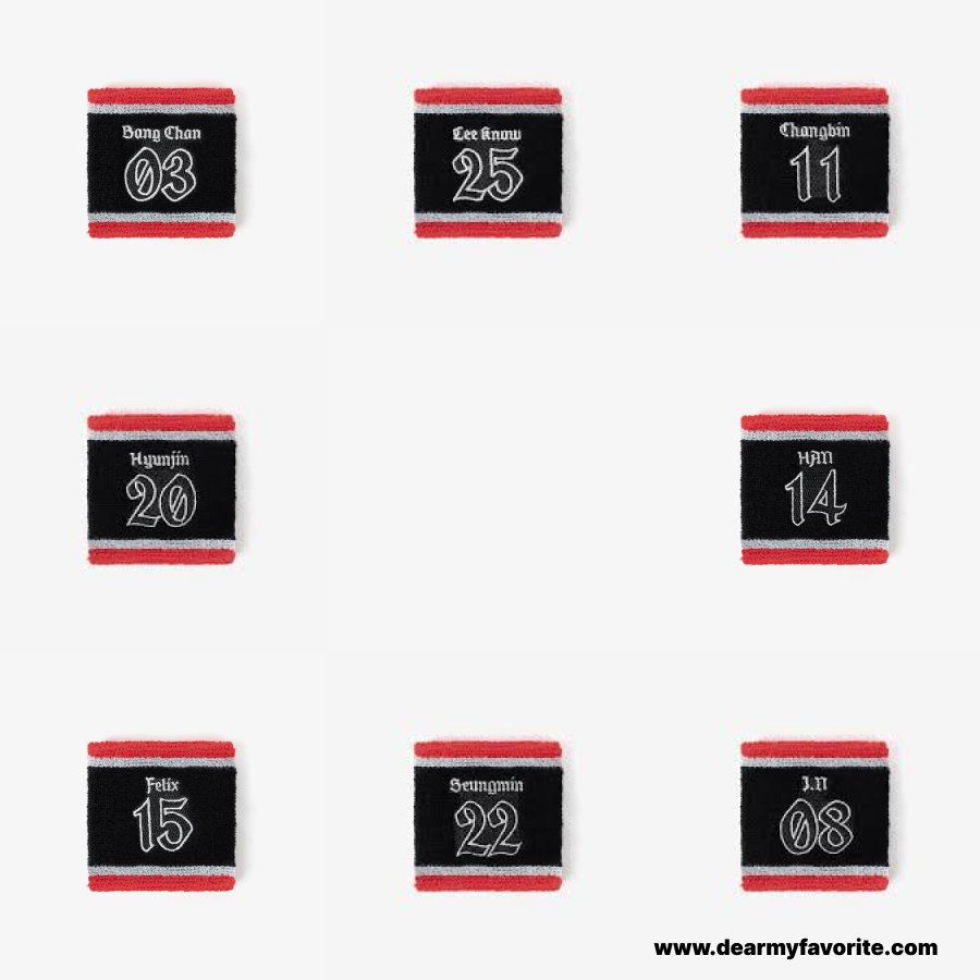 [PRE-ORDER EVENT] Stray Kids 2025 World Tour dominATE JAPAN OFFCIAL MD WRISTBAND