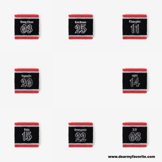 [PRE-ORDER EVENT] Stray Kids 2025 World Tour dominATE JAPAN OFFCIAL MD WRISTBAND