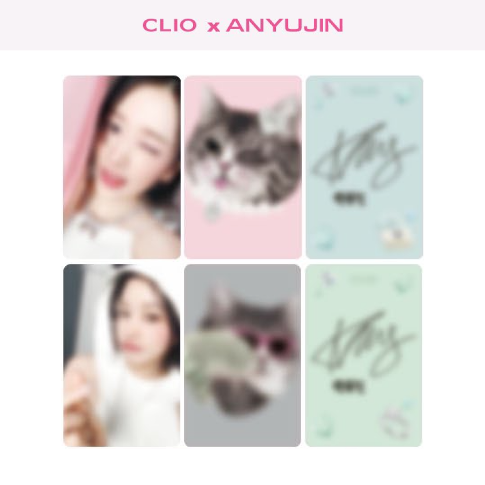 CLIO X ANYUJIN SPECIAL EDITION