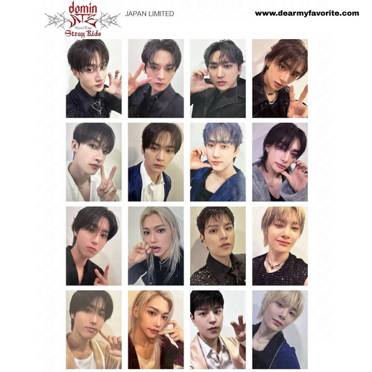 Stray Kids World Tour dominATE JAPAN LIMITED OFFICIAL BENEFIT PHOTOCARD