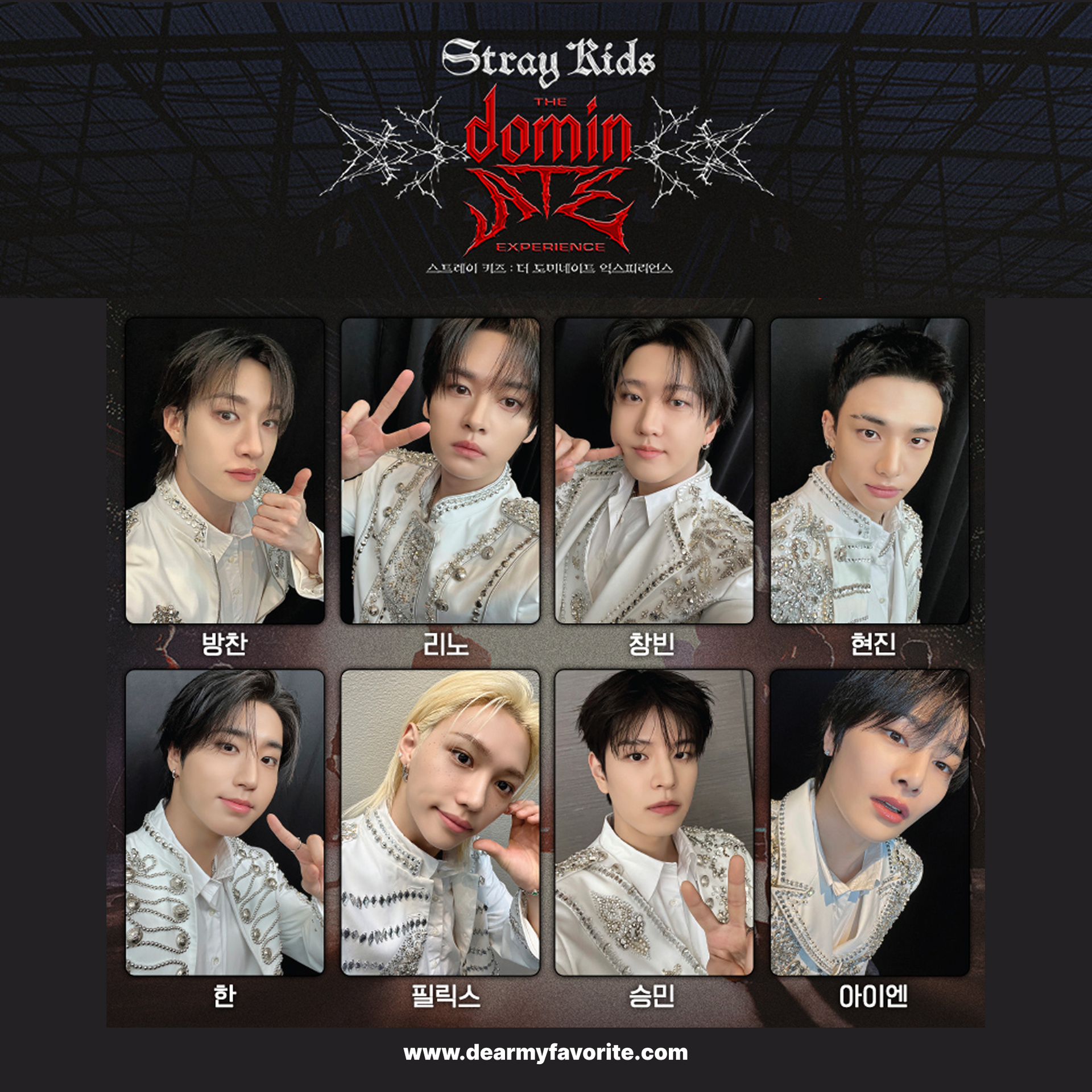Stray Kids The dominATE Experience トレカ PRE-ORDER] Stray Kids The dominATE Experience OFFICIAL PHOTOCARD
