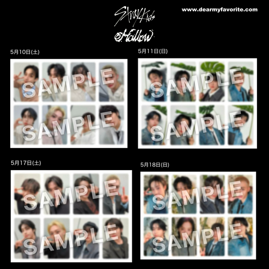 [PRE-ORDER] Stray Kids World Tour dominATE JAPAN Shizuoka Limited PHOTOCARD